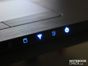 Sie leuchtet mit dezenter Helligkeit im Dunkeln.