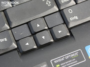 Überschwängliches Lob erhält die feedbackstarke Tastatur.