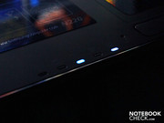 Diese leuchten im Dunkeln besonders deutlich in Blau.