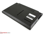 Die homogene und glatte Unterseite zeigt auf den ersten Blick