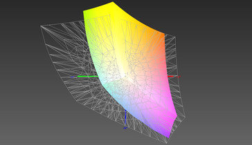 AdobeRGB-Abdeckung: 55 Prozent
