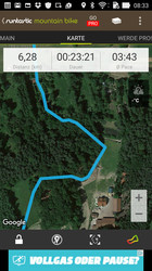 Asus ZenFone Selfie: Wald