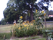 aber kontraststarke Farben und scharfe Aufnahmen