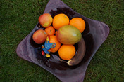 Sony A57: Obst