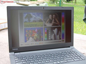 Ein verschattetes Plätzchen ist also Pflicht.