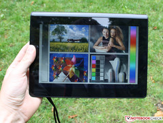 Tageslicht: Farben wirken natürlich und kräftig.