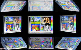 Blickwinkel Dell Vostro 2520