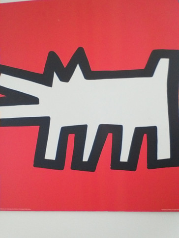 Frontkamera (1,6 Megapixel)