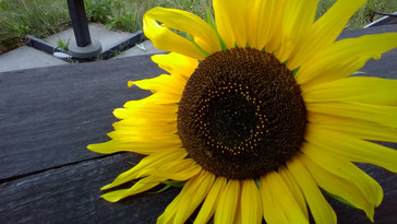 HP Spectre x2 12 Front