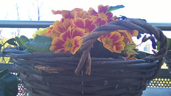 Die Bilder der Frontkamera sind kaum zu gebrauchen.