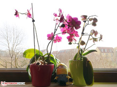 Referenzbild: Sony Alpha 6000 (ISO200, f/16, 1/20)