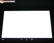 Auf einem Weissbild sind keine Verfärbungen sichtbar.