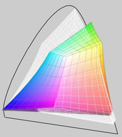 XPS 16 RGB LED (transparent) versus Z11