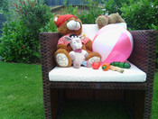 ZTE Blade III (5 Megapixel): Szene