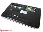 Helle und dunkle Farben sorgen für einen schönen Kontrast.