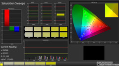 Clevo P870DM Farbprofil