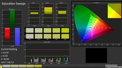 CalMan: Saturation Sweeps