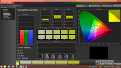 CalMAN - Farbsättigung