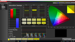 CalMAN - Farbsättigung