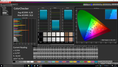 CalMAN - Color Checker
