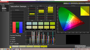 Calman 5.1 Software: Saturation Sweeps
