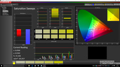 CalMAN - Farbsättigung kalibriert