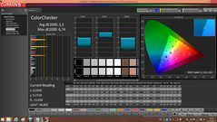 CalMAN - Color Checker (kalibriert)
