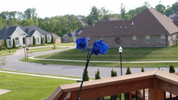 Referenz (Olympus XZ-1)