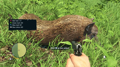 Toten Tieren können wir das Fell abziehen.