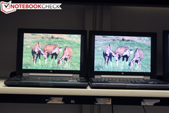 Dreamcolor vs. 08/15-Panel