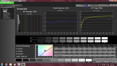 CalMAN - Graustufen (kalibriert)