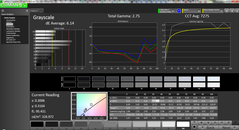 Graustufen – Profil Lebendig