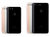 iPhone 7 und iPhone 7 Plus sind in jeweils fünf Farben ab 16. September erhältlich.