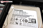 Toshibas 1000 GByte große MQ01ABD100 eignet sich perfekt als Datenlager.