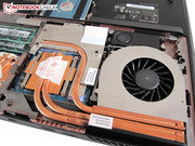 Es stehen mehrere High-End-GPUs zur Wahl.