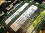 Die zwei Arbeitsspeichermodule (2 x 2 GByte DDR2-800, maximal sind 4 GByte möglich)