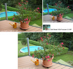 Vergleich: Streak Cam, Kompakt-Digital, DSLR