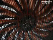 Das knallige Orange sorgt für Akzente.