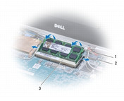 Grafik Dell: 1 RAM-Slot kann bestückt werden