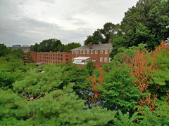 Bild: MKBHD / OnePlus