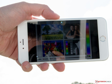 Außeneinsatz: Gegenlicht