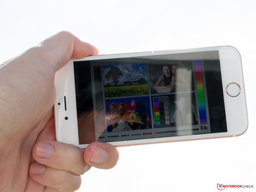 Außeneinsatz: Gegenlicht