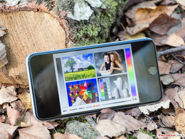 Schattige Umgebungen stellen für das iPhone 6 Plus kein Problem dar.