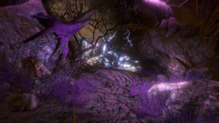 Das hier ist nicht Alice im Wunderland, sondern eine der Hauptmissionen.