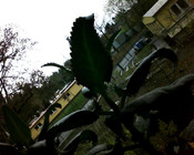 Webcam-Foto 1280x1024