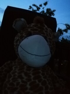 Huawei P30 Lite | Foto-Modus