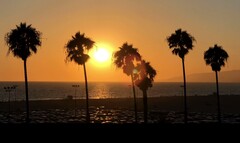 Qualität und Videomodi scheinen bei der iPhone 8/X-Generation tatsächlich zu passen.