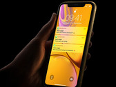 iPhone Xr: Nächster Analyst reduziert Prognose - ist das iPhone Xr ein Flop?