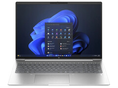 HP ProBook 460 G11 (Bild: HP)