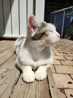 Aufnahme mit der Hauptkamera